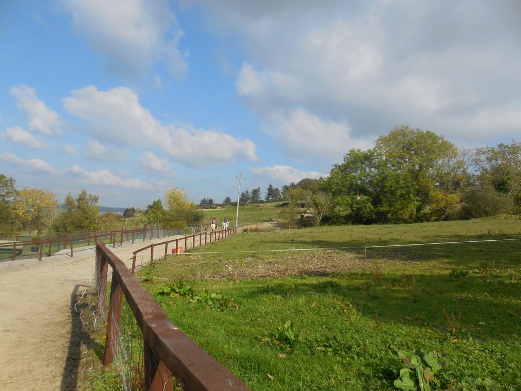 Fitzgerald'S Farmhouse Accommodation V94 Yy47 Abbeyfeale Exteriör bild
